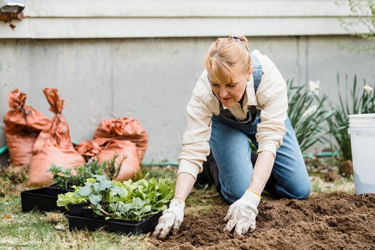 Gardening Projects That Keep You Moving at Your Own Pace